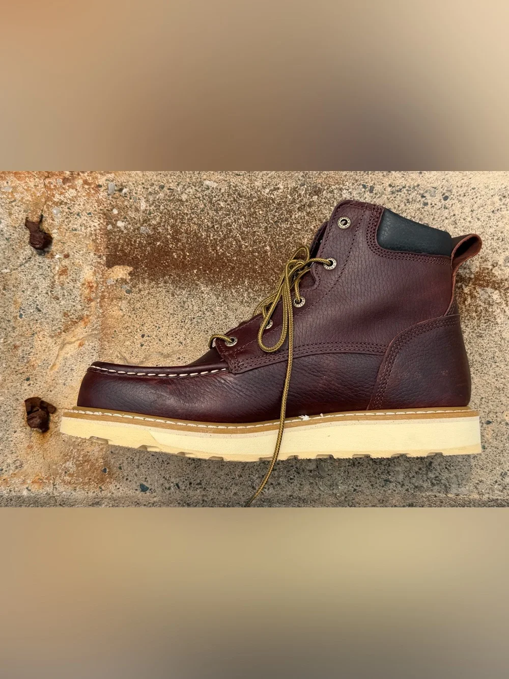 Irish Setter step into